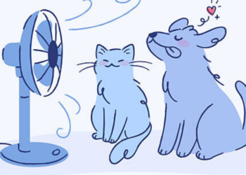 Ανεμιστήρας ή air condition για κατοικίδια;