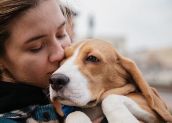 Dog mom ή ιδιοκτήτρια; Ο νέος ρόλος μας