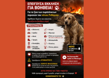 Έκκληση για τα ζώα στο Ρέθυμνο