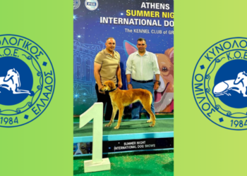 Iστορική αναγνώριση για το Ροδίτικο Λαγωνικό