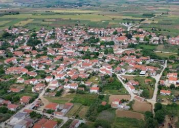 Σοκ στις Σέρρες: Μαζική θανάτωση ζώων