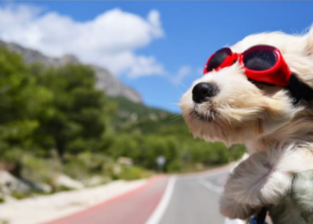 Weekend road trip: Πώς να το οργανώσετε