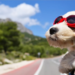 Weekend road trip: Πώς να το οργανώσετε