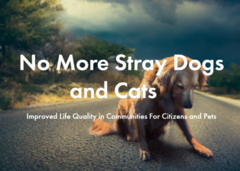 Zero Stray Pawject: Στήριξη ζώων στην Κρήτη