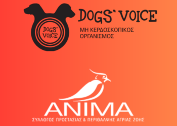 Προστασία ζώων: Ο ρόλος ANIMA, Dogs’ Voice