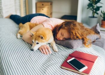 Κανόνες για τον ύπνο του σκύλου στο σπίτι