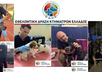 Πυρκαγιές: Πάλι οι εθελοντές έβγαλαν το φίδι