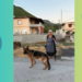 Μία φιλοζωική βόλτα γεμάτη εκπλήξεις στη Λιχάδα