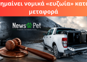 Μεταφορά σκύλου με αγροτικό-Τι ορίζει ο νόμος