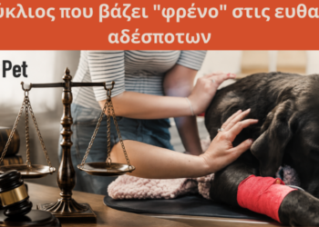 Δεν αρκεί μία καταγγελία για να γίνει ευθανασία