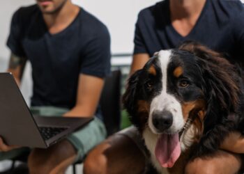 Οι πιο dog-friendly εταιρείες στον κόσμο