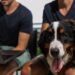 Οι πιο dog-friendly εταιρείες στον κόσμο