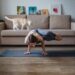 Yoga με γάτα: Η νέα τάση στην ευεξία