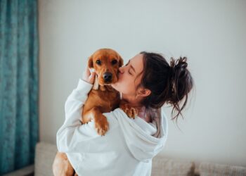 Τι περιέχει η τσάντα μιας οργανωμένης dog mom;