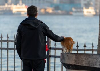 Πατρότητα και γάτα: Ένας ξεχωριστός ρόλος