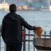 Πατρότητα και γάτα: Ένας ξεχωριστός ρόλος