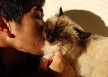 Γιατί οι cat dads είναι πιο ελκυστικοί;