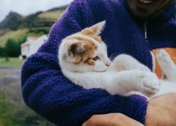 Οι πιο συχνές ερωτήσεις νέων cat dads