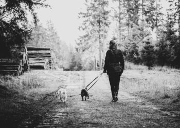 Mindfulness στις βόλτες με τον σκύλο