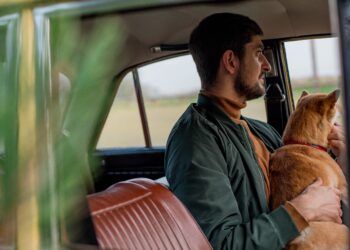 Road trip με γάτα: Ο απόλυτος οδηγός