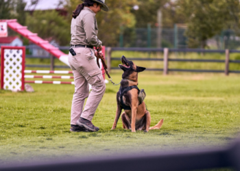 Γυναίκες αστυνομικοί K9: Ο ρόλος τους