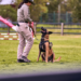 Γυναίκες αστυνομικοί K9: Ο ρόλος τους