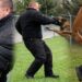 Με δάγκωσε αδέσποτος σκύλος-7 βήματα του νόμου