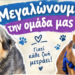 Αδεσποτάκια Νεάπολης: Γίνε εθελοντής σήμερα!
