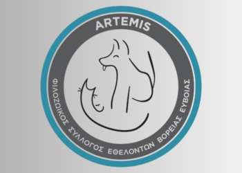 Φιλοζωικός Σύλλογος ARTEMIS: Η απάντηση