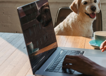 Dog-friendly εταιρείες στον κόσμο