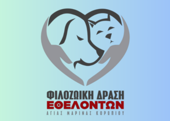 Αδέσποτα Κορωπί: Καταγγελίες για τον Δήμο
