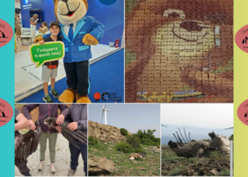 Προστασία ζώων: Ουσία ή επικοινωνία;