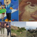 Προστασία ζώων: Ουσία ή επικοινωνία;