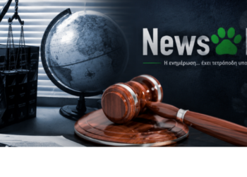 Αδέσποτα ζώα: Υποχρεώσεις Δήμων