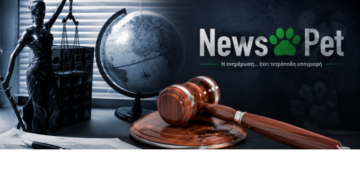 Αδέσποτα ζώα: Υποχρεώσεις Δήμων