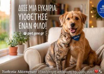 Αγγελίες υιοθεσίας: Πλήρης οδηγός για το Ε.Μ.Ζ.Σ.
