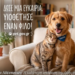 Αγγελίες υιοθεσίας: Πλήρης οδηγός για το Ε.Μ.Ζ.Σ.