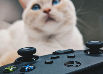 Gaming για γάτες: Αγαπούν τα παιχνίδια; 