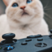 Gaming για γάτες: Αγαπούν τα παιχνίδια;