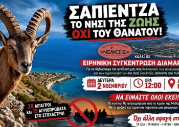 Κυνήγι τροπαίων: Σάλος για αίγαγρους και μουφλόν